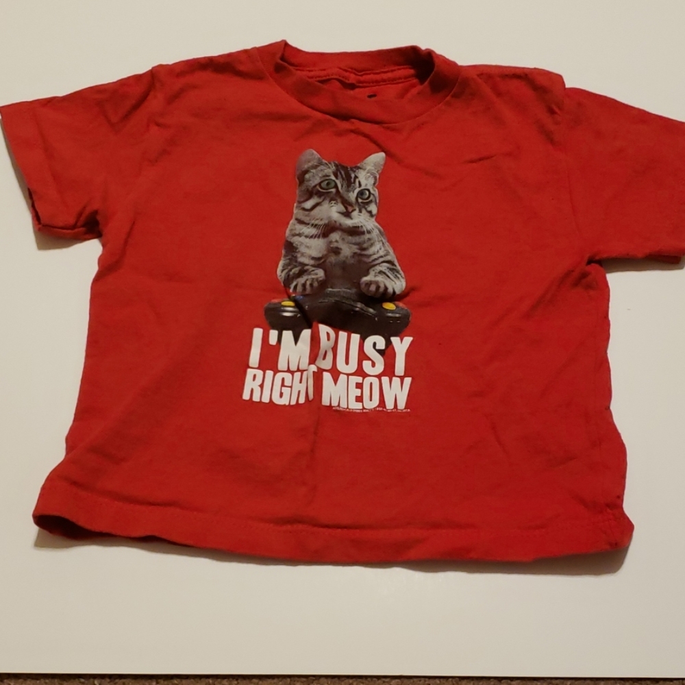 Joe collective cat video game tshirt